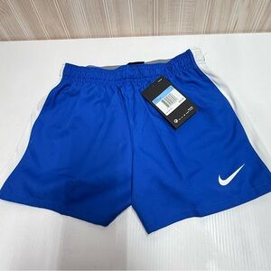 Nike Men’s Royal Blue Athletic Shorts with White Swoosh